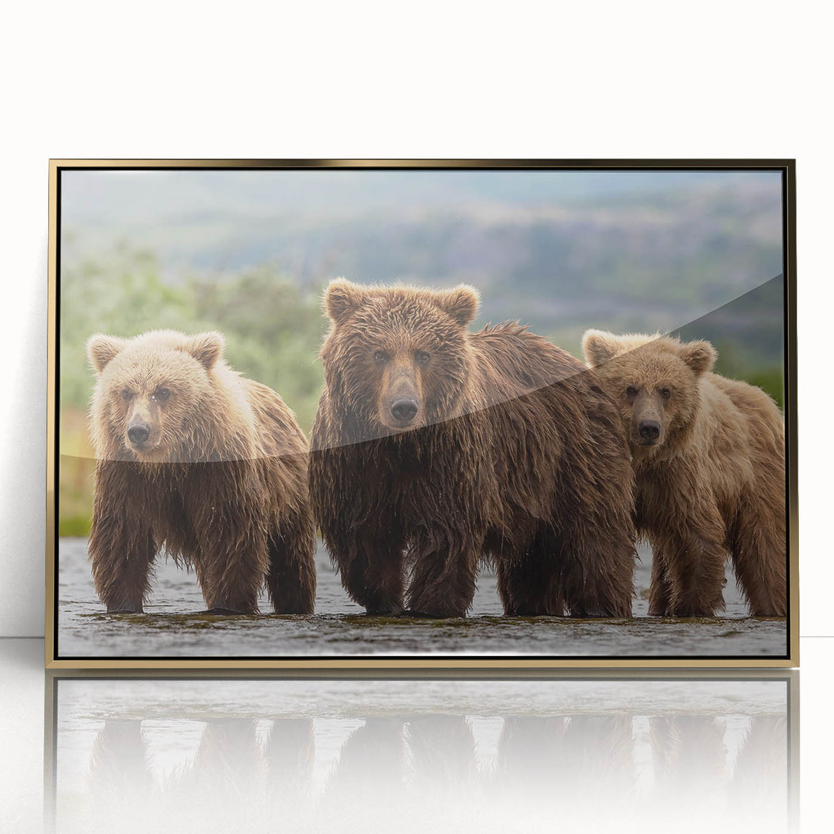 Large acrylic print of a serene Alaskan landscape in muted earth tones, framed in gold, ideal for modern art wall decor.