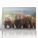 Acrylic print of Alaskan scenery in art deco style, framed in white, suitable for modern nursery decor.