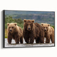Black and white framed canvas of an Alaskan landscape, ideal for bedroom wall art.