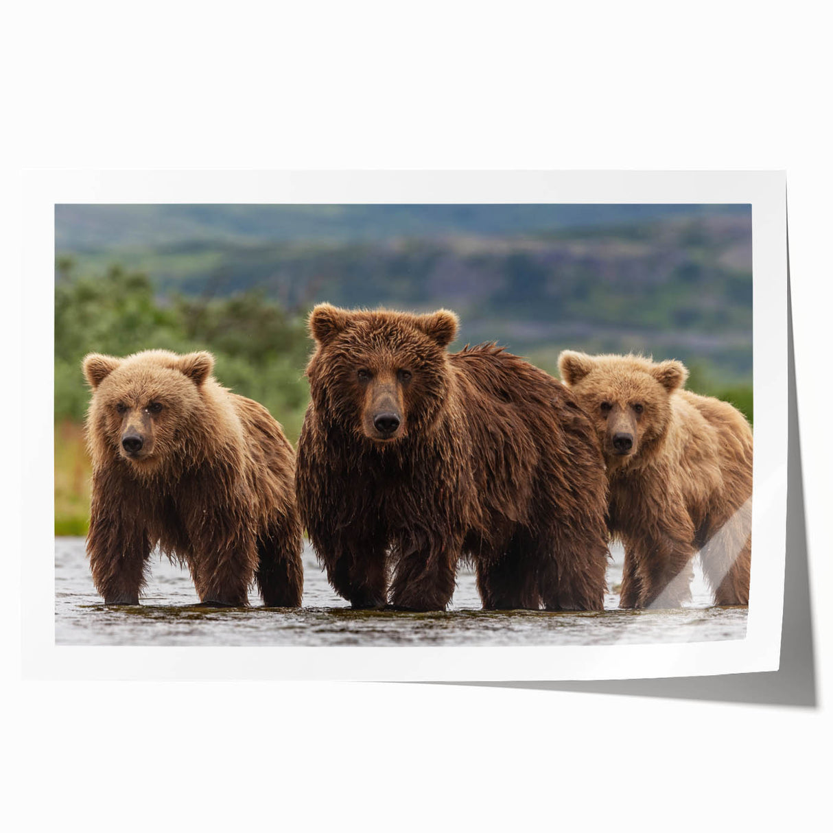 Extra large rolled print of Alaskan scenery with vibrant green and blue tones, ideal for dining room wall art.