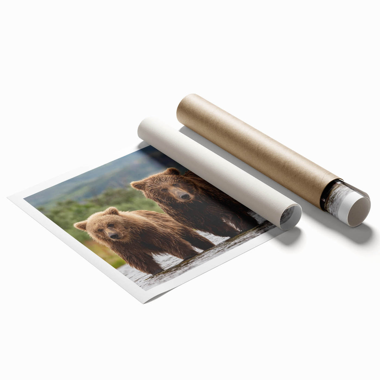 Extra large rolled print of Alaskan scenery with lush greenery and mountain backdrop, ideal for classy bathroom wall art.