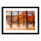 Abstract art print of a colorful Louisiana landscape on a large textured canvas, ideal for living room decor.