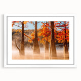 Abstract art print depicting a vibrant Louisiana landscape in a white frame, ideal for dining room decor.