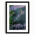Extra large abstract art print featuring vibrant spring colors on a textured canvas, framed in black.
