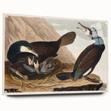 Romanticism Art - West Front of Cassiobury