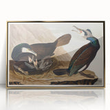 Romanticism Art - West Front of Cassiobury