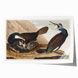 Romanticism Art - West Front of Cassiobury