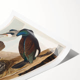 Romanticism Art - West Front of Cassiobury