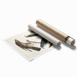 Romanticism Art: Goshawks and Stanley Hawks - Historical Romantic Canvas