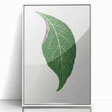 Romanticism Art: Green Adelaster Leaf - Historical Romantic Print