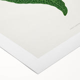 Romanticism Art: Green Adelaster Leaf - Historical Romantic Print