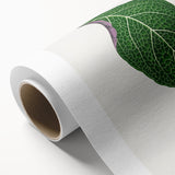 Romanticism Art: Green Adelaster Leaf - Historical Romantic Print