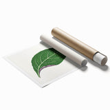 Romanticism Art: Green Adelaster Leaf - Historical Romantic Print