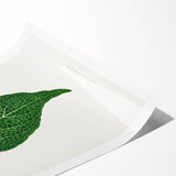 Romanticism Art: Green Adelaster Leaf - Historical Romantic Print