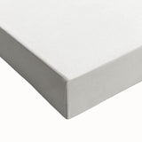 Romanticism Art: Green Adelaster Leaf - Historical Romantic Print