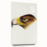Romanticism Art: Wedge-Tailed Eagle - Famous Romantic Wildlife Print