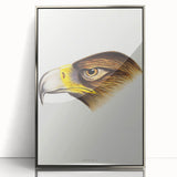 Romanticism Art: Wedge-Tailed Eagle - Famous Romantic Wildlife Print