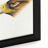 Romanticism Art: Wedge-Tailed Eagle - Famous Romantic Wildlife Print