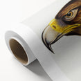 Romanticism Art: Wedge-Tailed Eagle - Famous Romantic Wildlife Print