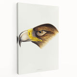 Romanticism Art: Wedge-Tailed Eagle - Famous Romantic Wildlife Print