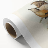Romanticism Art: Fawn-Breasted Bowerbird - Historical Nature Print