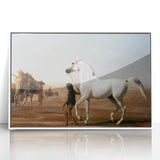 The Wellesley Grey Arabian Realism Art Print - Elegant Desert Canvas