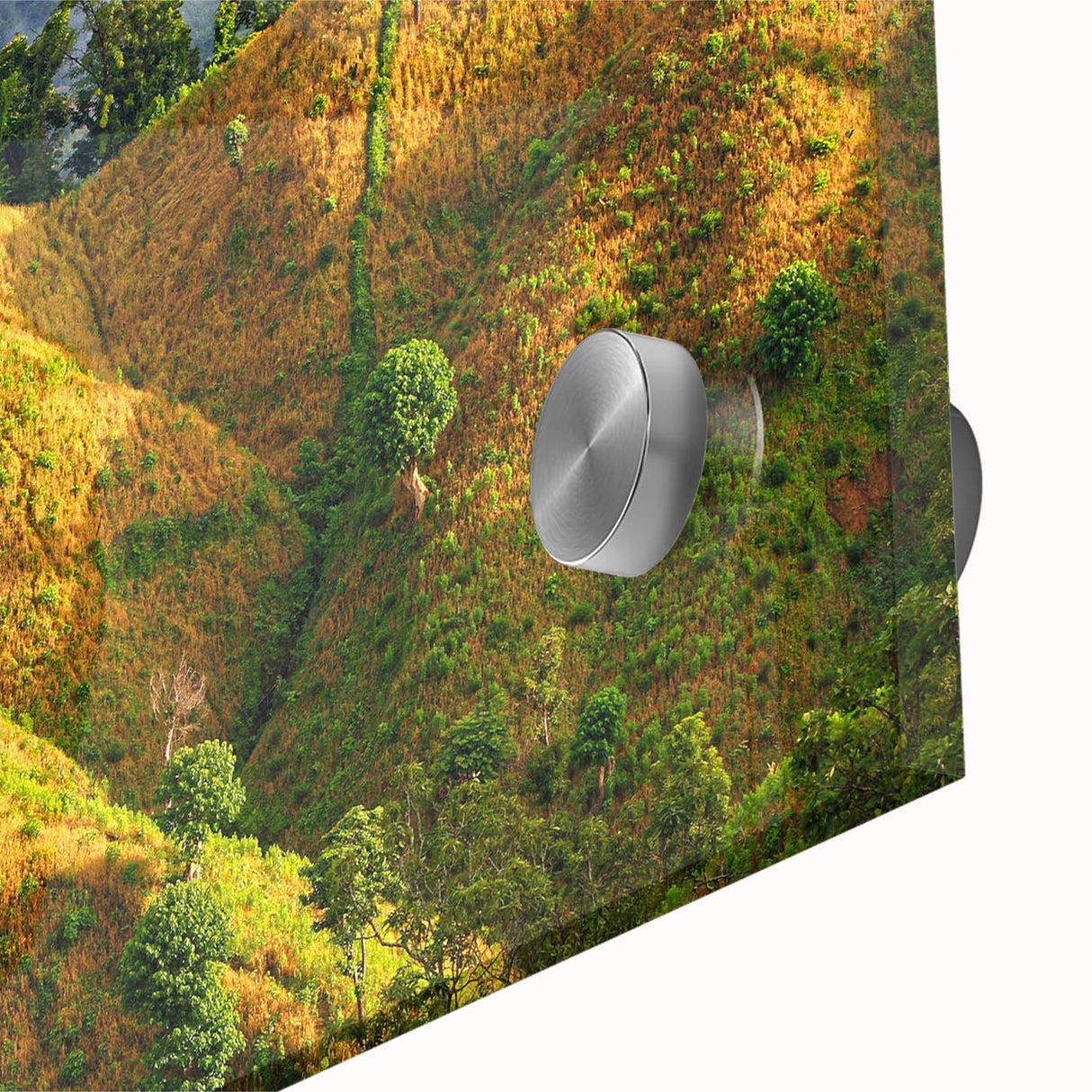 Large abstract wall art depicting a Bangladesh scenery in mid-century modernist style on acrylic glass.