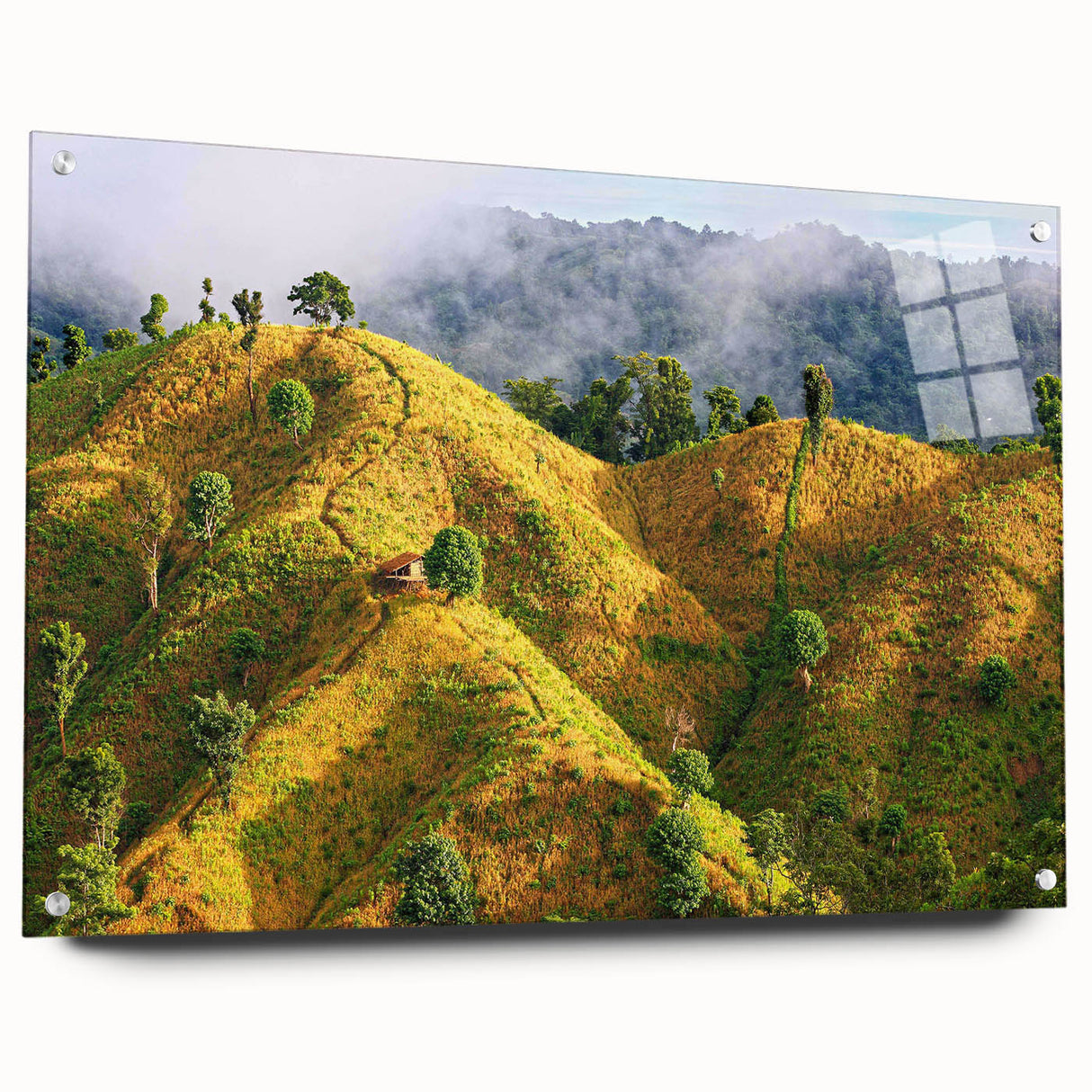Acrylic glass print of a large abstract depiction of Bangladesh scenery in vibrant green and blue tones.