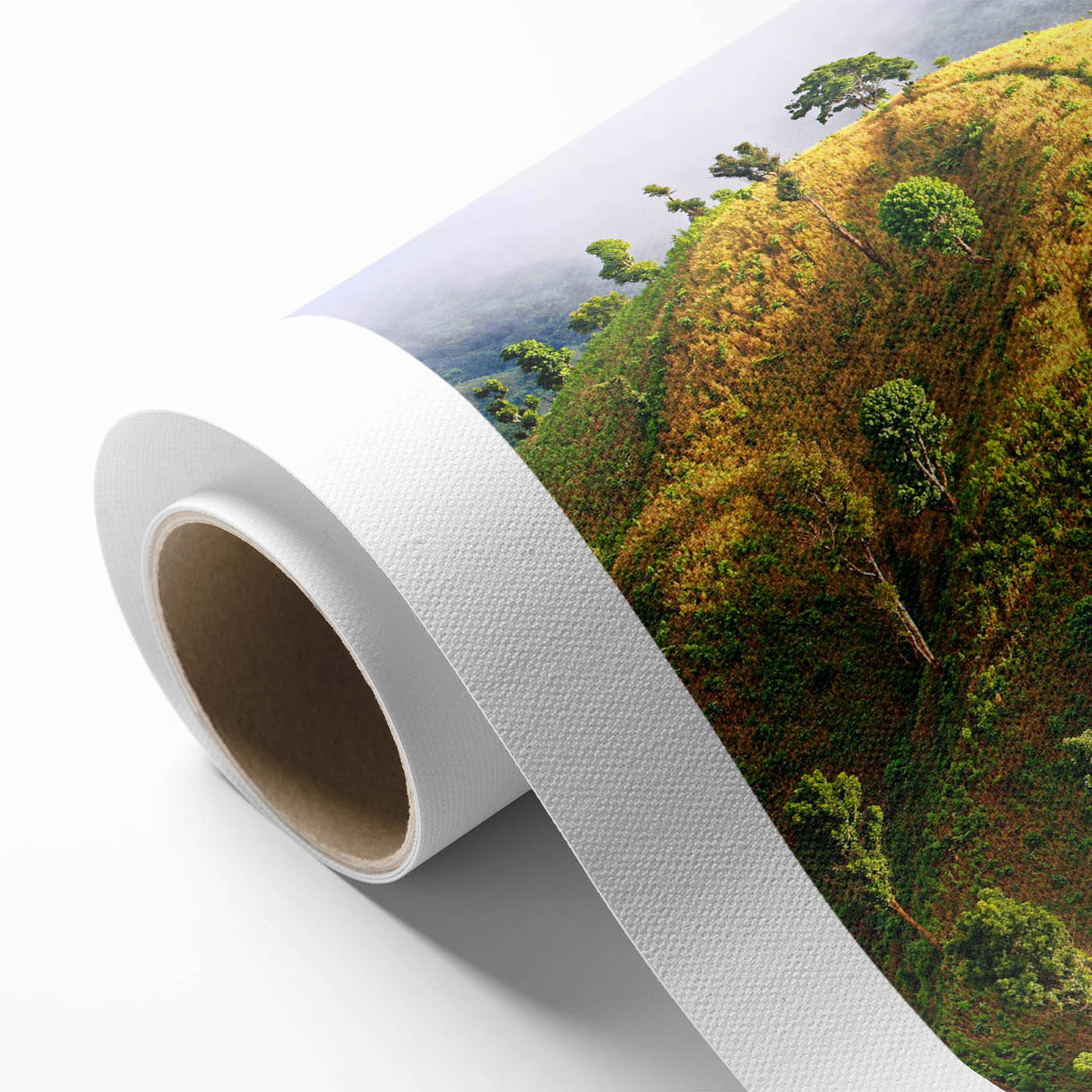 Art deco poster of a serene Bangladesh landscape in muted green and blue shades on rolled canvas, ideal for nursery wall art.