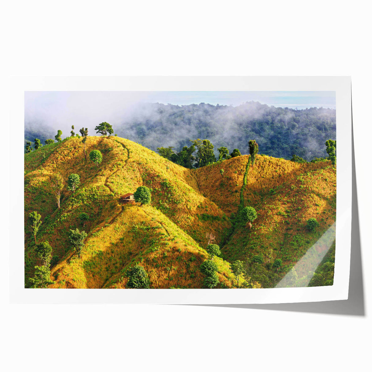 Rolled print of a Bangladesh scenery with lush greenery and floral elements, suited for art wall dining room.