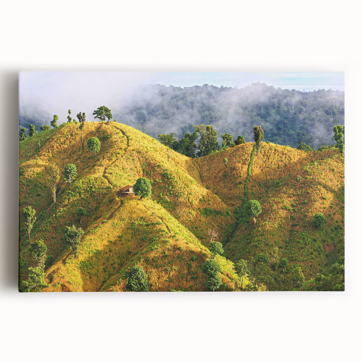 Black and white photo of a serene Bangladesh landscape on large stretched canvas, ideal for kitchen wall art.