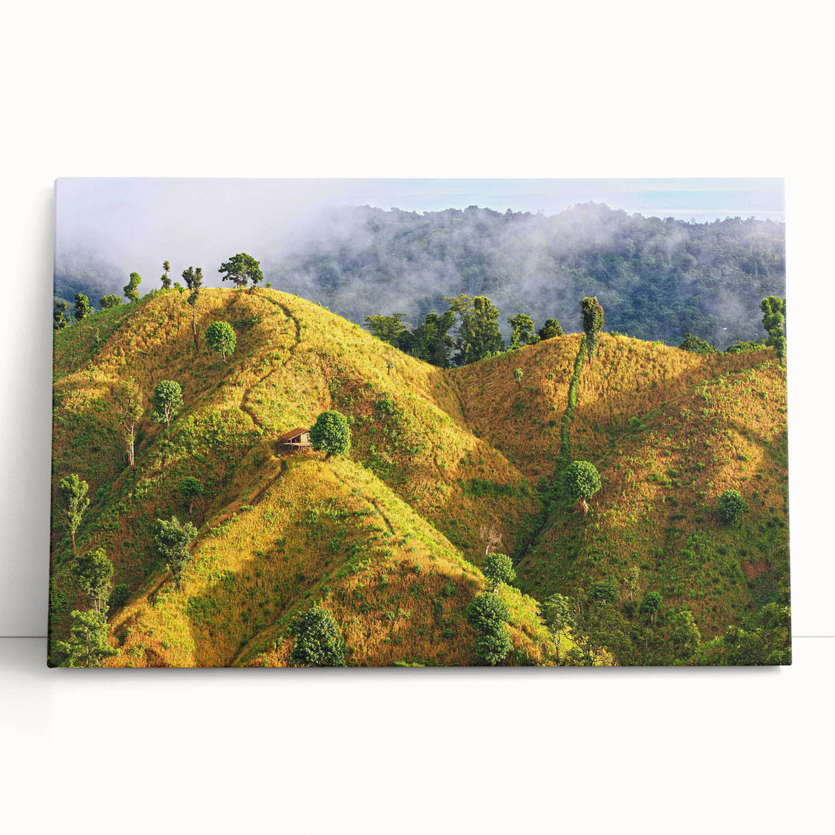 Black and white photo of a serene Bangladeshi landscape on stretched canvas, ideal for kitchen wall art.