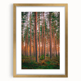 Abstract art print featuring a serene Finnish landscape in muted blue and green tones, framed in gold.