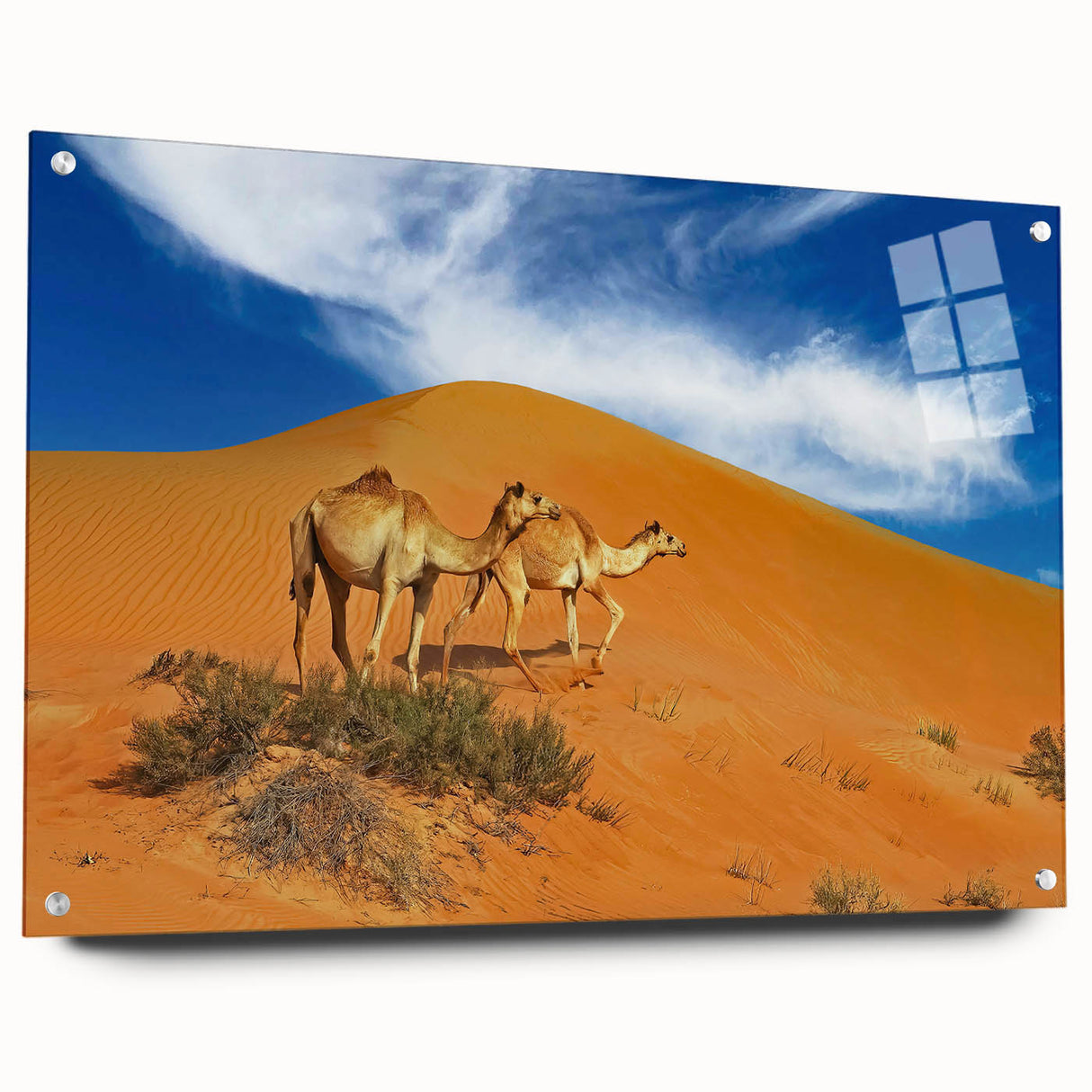 Acrylic print of an abstract Oman scenery in muted earth tones, suitable for bedroom or dining room decor.
