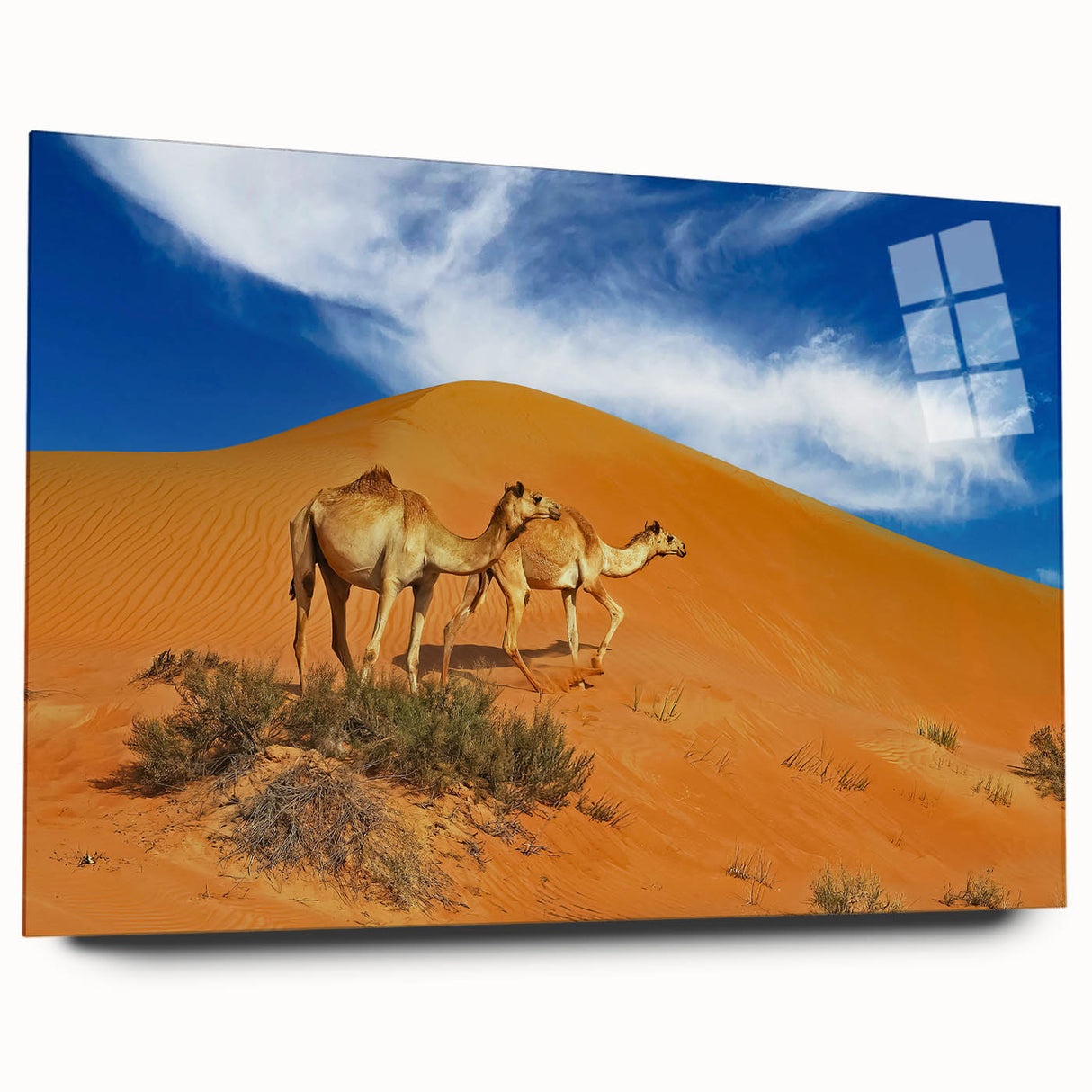 Large abstract wall art of a Middle Eastern desert in muted orange and brown tones on acrylic glass.