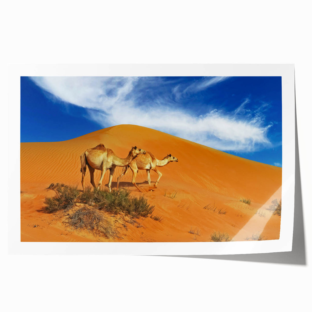 Extra large rolled print depicting a Middle-Eastern Oman scenery with vibrant floral elements.