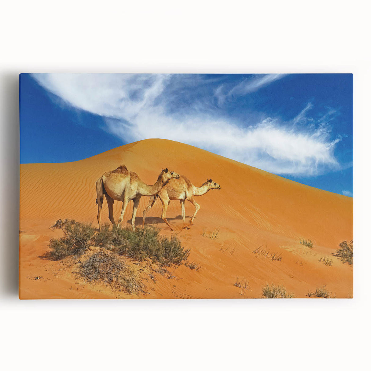 Black and white photo of Oman scenery on large stretched canvas, ideal for kitchen wall art.
