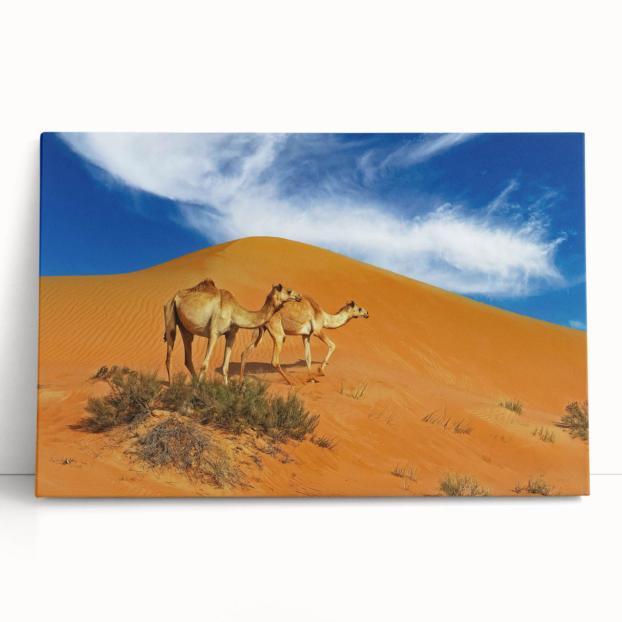 Black and white photograph of a Middle Eastern landscape on stretched canvas, ideal for kitchen wall art or bedroom decor.