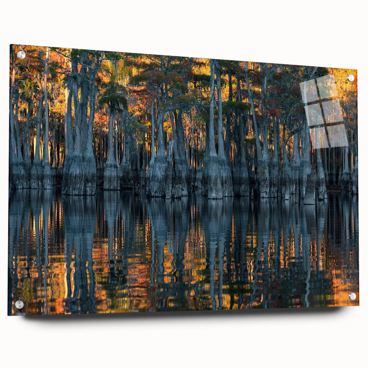 Acrylic print of a Louisiana landscape in muted greens and blues, ideal for dining room decor.