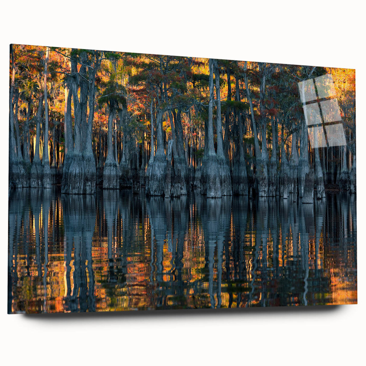 Large abstract wall art featuring Louisiana scenery in muted earth tones on acrylic glass.