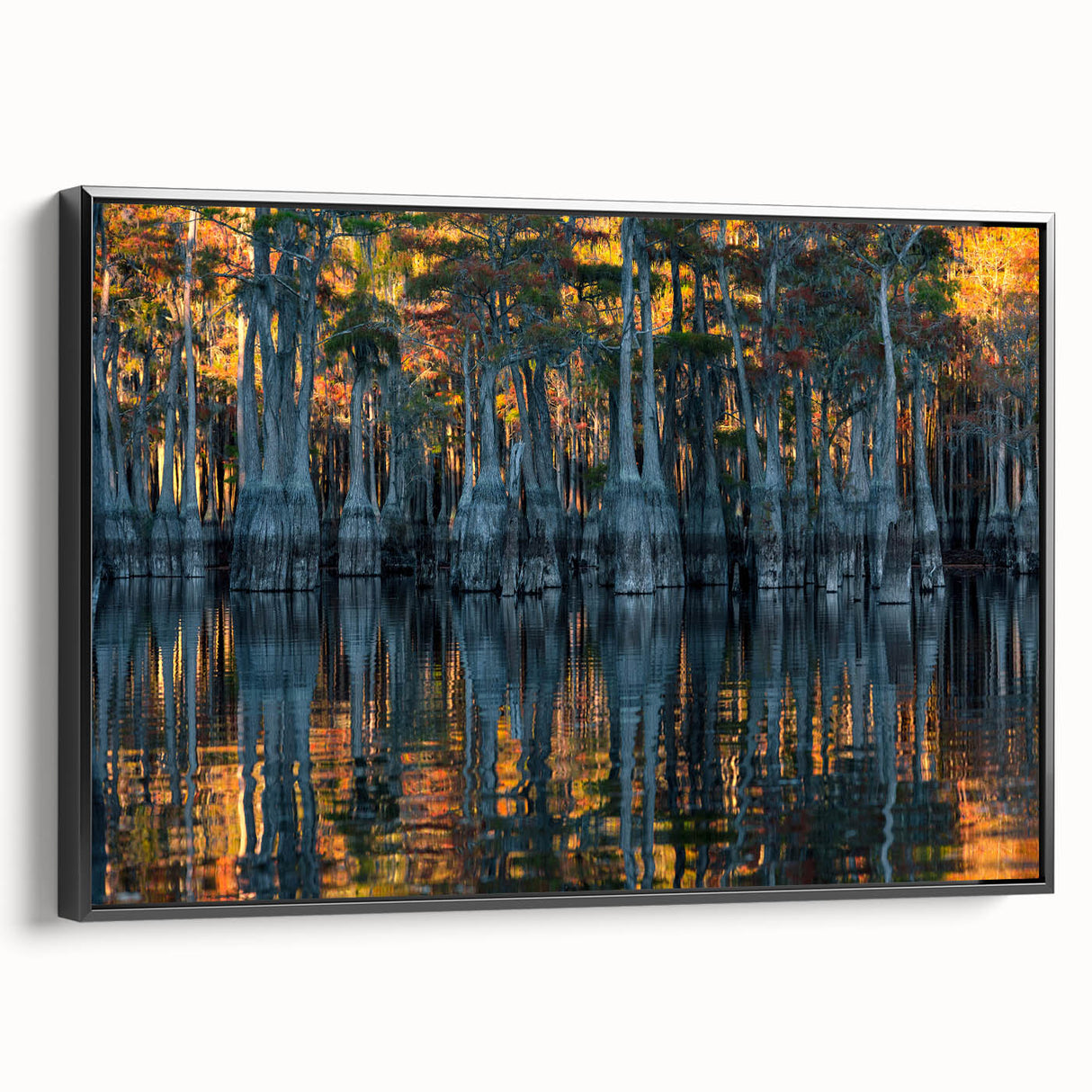 Black and white framed canvas of a Louisiana landscape, ideal for bedroom wall art.