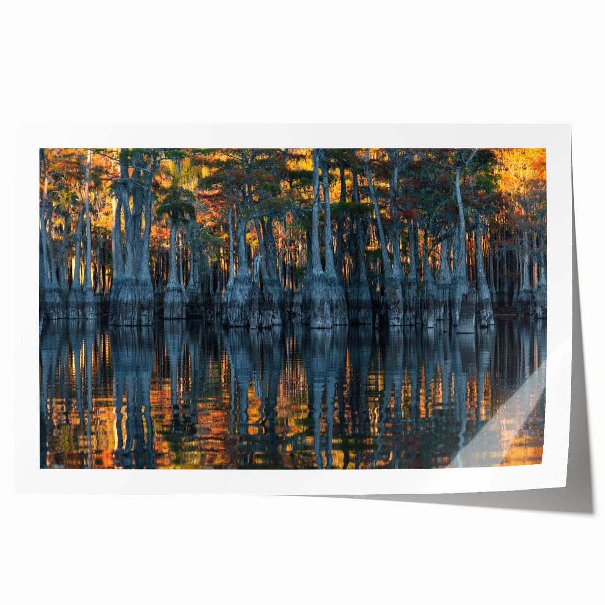 Extra large rolled print of Louisiana scenery with vibrant floral elements, ideal for art wall dining room.