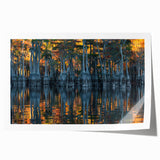 Extra large rolled print of Louisiana scenery with vibrant floral elements, ideal for art wall dining room.