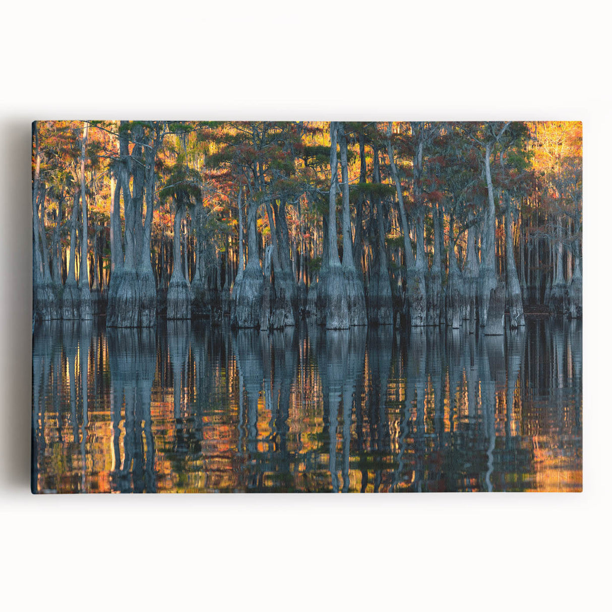 Black and white stretched canvas featuring a detailed Louisiana landscape, ideal for kitchen wall art.