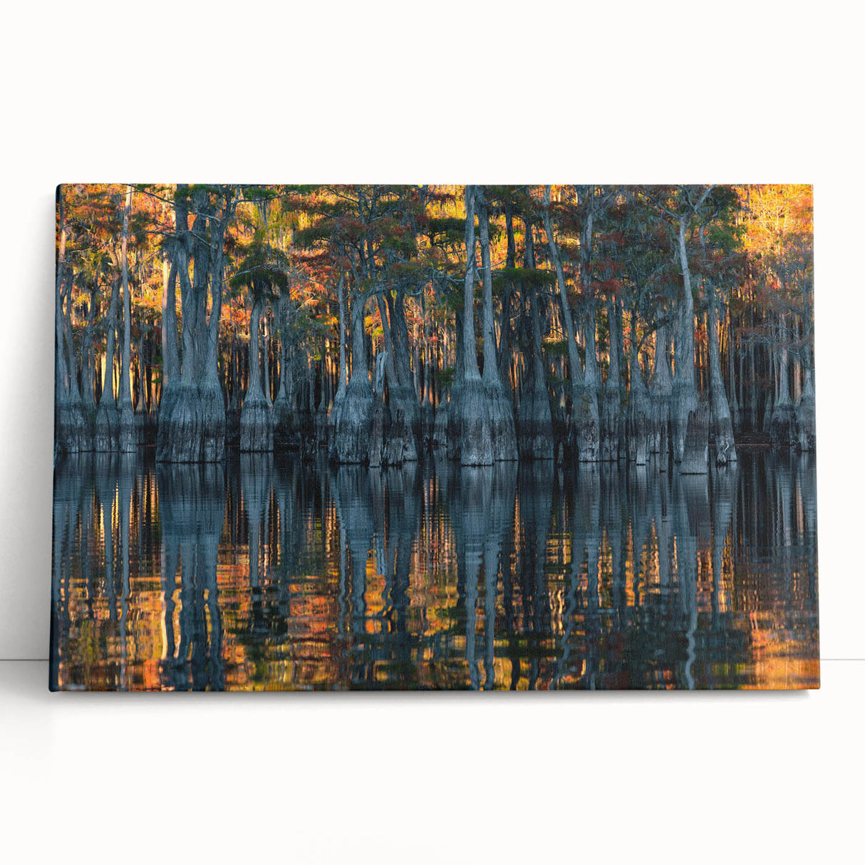 Black and white large canvas of a Louisiana marsh landscape, ideal for kitchen wall art or bedroom decor.
