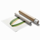 Romanticism Art: Phormium Tenax Leaf - Historical Botanical Print