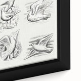 Expressionism Wall Art - Seven Pigeons by Leo Gestel