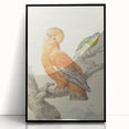 Classical Realism Painting of Exotic Birds - Realism Art Canvas Print