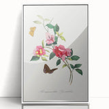 Romanticism Art: Bougainvillea and Butterflies - Historic Floral Print