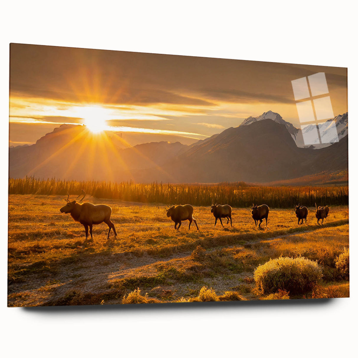 Large abstract wall art depicting Yukon scenery in muted earth tones on acrylic glass.